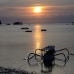 sunset_nlem_v_0077_bal3217.jpg